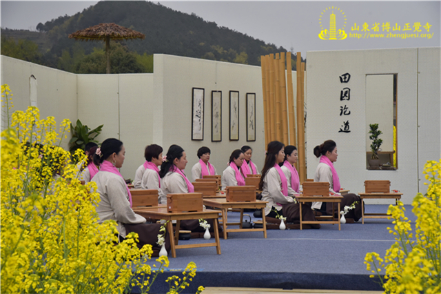禅修茶道初级讲习班在四川崇州油菜花田举办