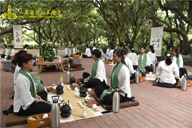 禅修茶道增益班中户外茶会课程