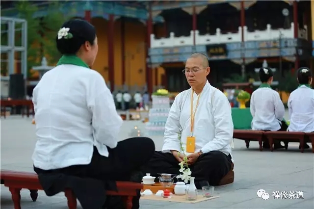 中级讲习班｜闯进骆驼群里的羊羔羔