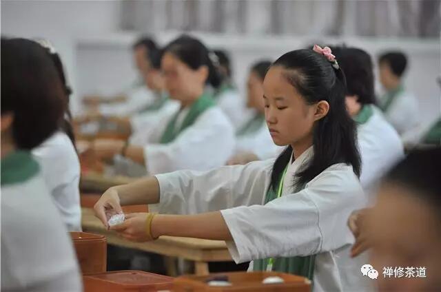 初级增益班｜禅茶之美