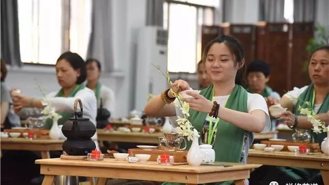 视频｜2017年8月1日禅修茶道一日禅回顾