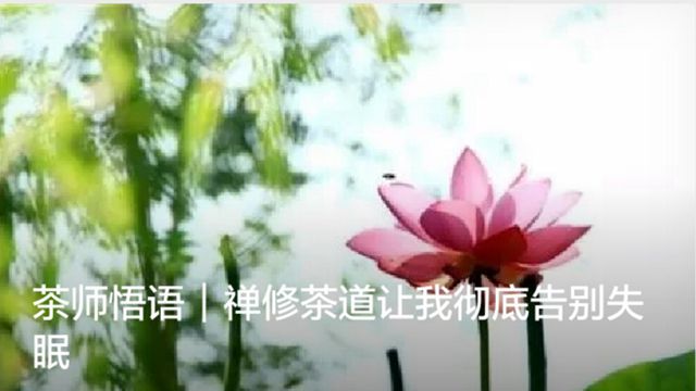 茶师悟语｜禅修茶道让我彻底告别失眠