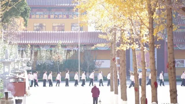 禅修茶道初级增益班（博山正觉寺）将于9月14日开班