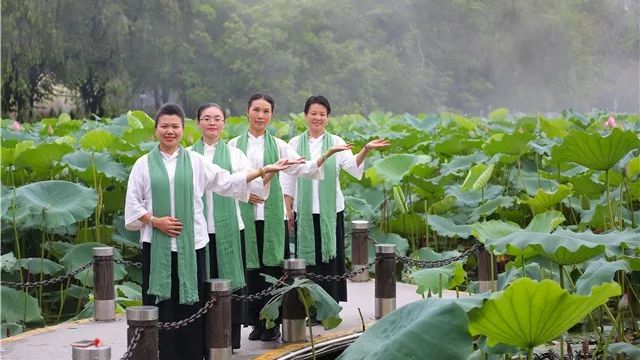 深圳禅茶书院|禅修茶道茶会雅集