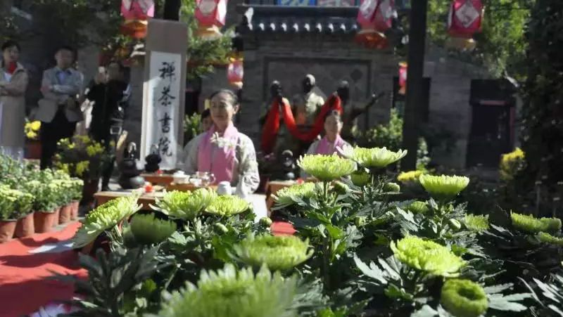 淄博｜助力周村古商城菊花展