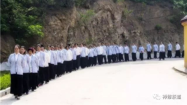 云南提升班专题｜禅修茶道学长提升班将于3月23日在云南冰岛老寨开课