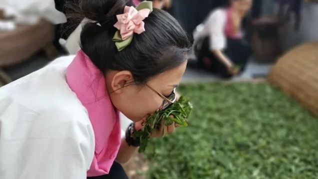 云南提升班专题｜味与嗅的觉知