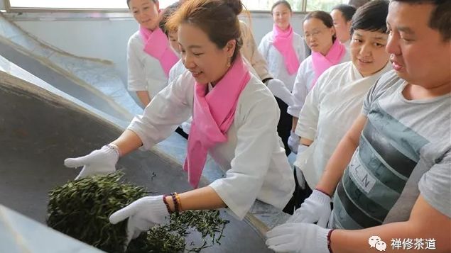 云南提升班专题｜炒茶，感受冰岛老寨的鲜香
