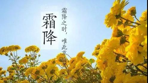 邀请函·深圳｜ 禅修茶道•二十四节气•霜降茶会