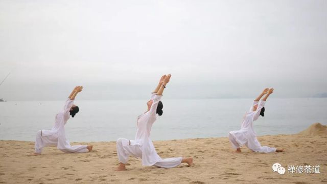公告｜茶道瑜伽（一段）将于11月29日在深圳开班