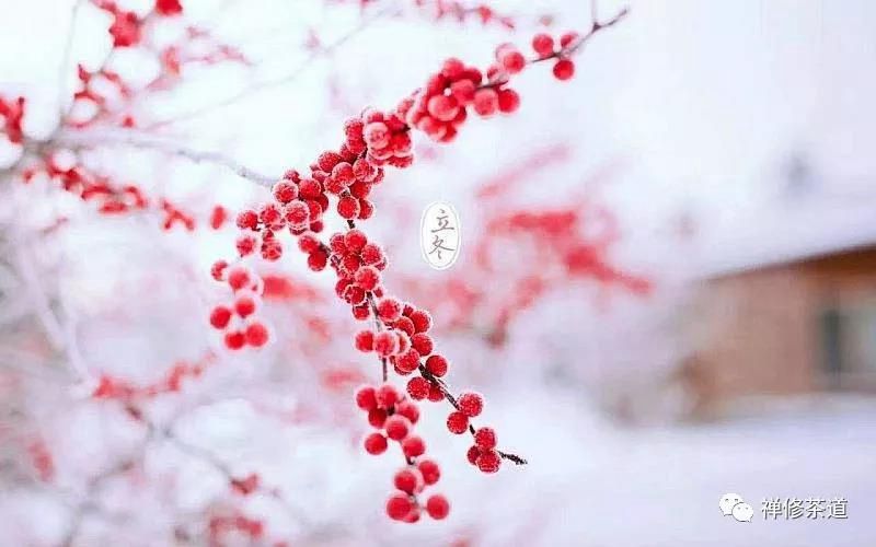 邀请函·深圳｜禅修茶道•二十四节气•立冬茶会（11月10日）