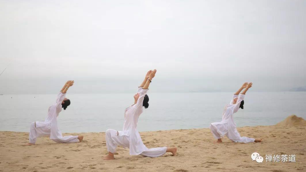 开班公告｜茶道瑜伽（一段）将于11月29日在深圳开班