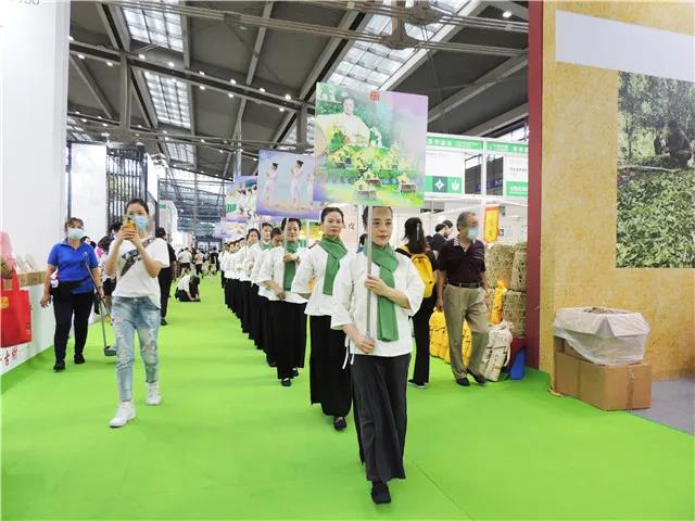 深圳•茶博会有感｜感恩 感动 感激