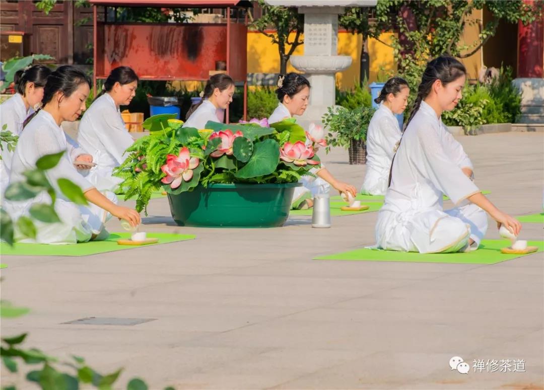 公告｜茶道瑜伽一段一套将于12月12日在深圳开班