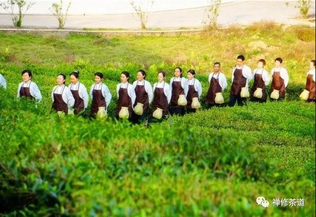 图集·骨干义工提升班｜春风徐徐来 莲花步步开