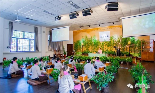 两班同开｜孟夏槐花香，禅茶一味浓