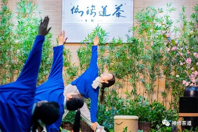 公告｜茶道瑜伽二段三套将于11月6日在深圳开班