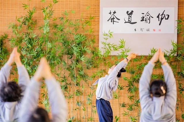 茶道瑜伽，如此美好的遇见